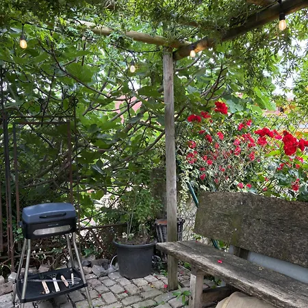 Sant Sebastia Con Jacuzzi, Sauna Y Jardin * Moia